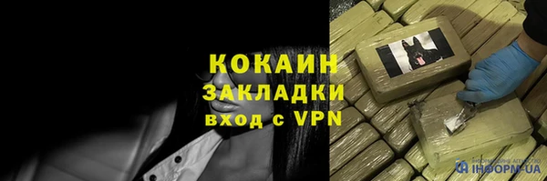 mix Бородино