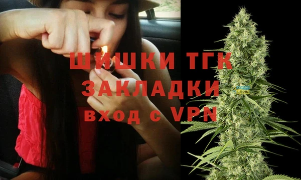 mix Бородино