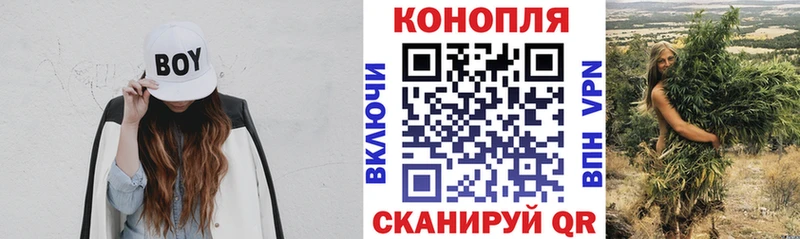 мега рабочий сайт  Новохопёрск  Конопля Bruce Banner  где можно купить  